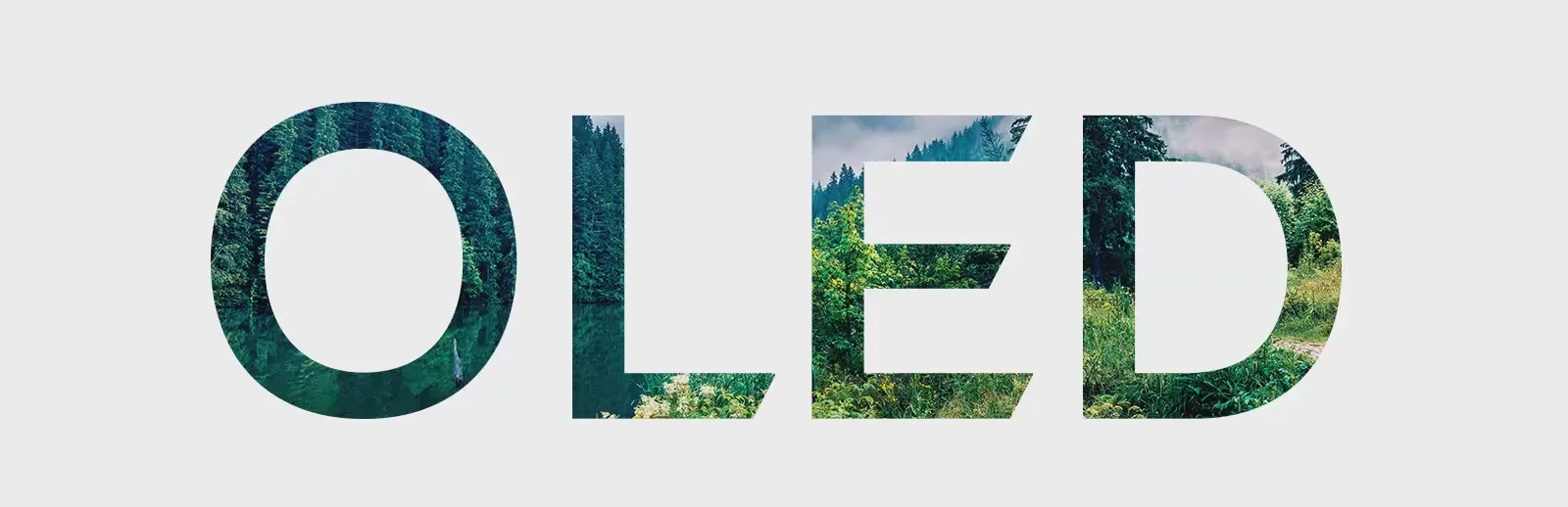 OLED 