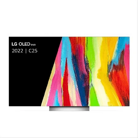 تلویزیون 65 اینچ ال جی OLED evo اسمارت 2022 مدل 65C2