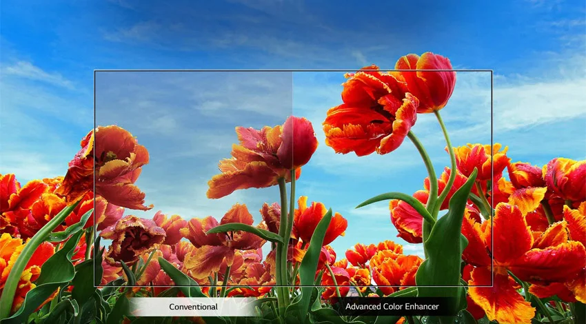 خرید تلویزیون - ال جی 32 LM6300